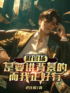 混官场是要讲背景的,而我正好有阅读小说阅读