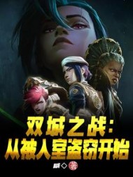 双城之战：从被入室盗窃开始小说阅读