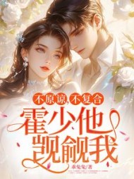 不原谅，不复合，霍少他觊觎我阅读小说阅读