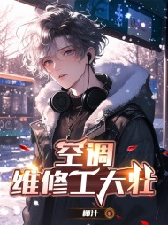 空调维修工大壮阅读小说阅读