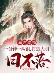 暴君崇祯：一分钟一两银，打造大明日不落小说阅读