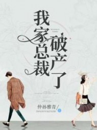 我家总裁破产了by仲孙雅青小说阅读