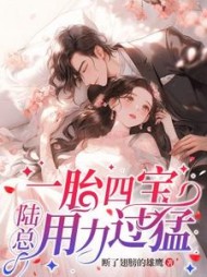 一胎四宝，陆总用力过猛小说阅读