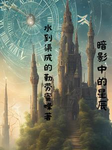 暗影中的星辰张居正阅读小说阅读