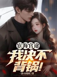 宦海官途：我决不背锅小说阅读