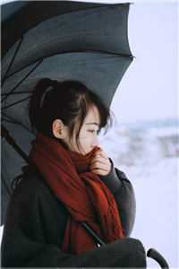 《雪葬长风不相见》楚长风 宋衔雪小说阅读