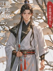 江湖风云之剑影无双林风小说阅读