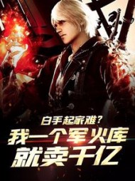 白手起家难？我一个军火库就卖千亿小说阅读