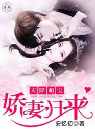 天降萌宝娇妻归来阅读小说阅读