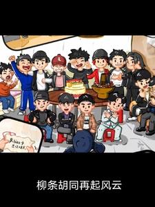 柳条胡同再起风云赵大虎小说阅读