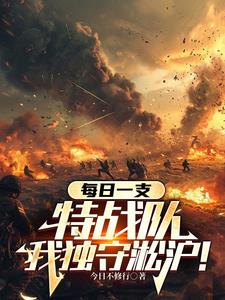 每日一支特战队，我独守淞沪小说阅读