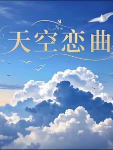 天空恋曲叶泽小说阅读