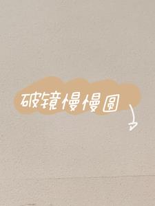 破镜慢慢圆后续+番外小说阅读