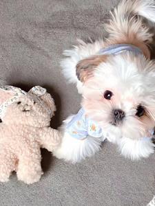 超爽系统后续+番外小说阅读