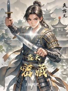 盗天密藏林羽阅读小说阅读