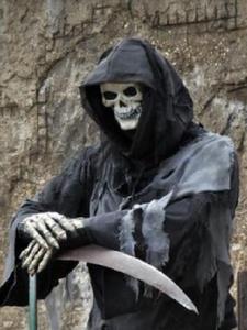 怠惰一点也不懒后续+番外小说阅读