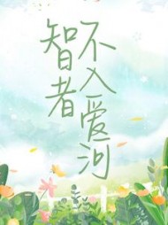 智者不入爱河陈念徐晏清阅读小说阅读