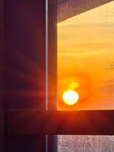 穿越异世界，小小魔兽也敢作妖？后续+番外小说阅读