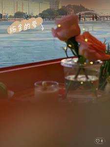 施舍的爱(孤氿生)阅读小说阅读