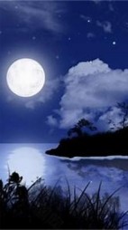 莫比乌斯般的相遇后续+番外小说阅读