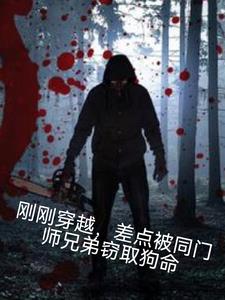 世界线的游戏+后续小说阅读