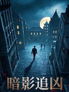 民国奇探之暗影追凶+后续小说阅读