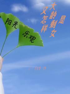 是大龄剩女又怎样+后续小说阅读