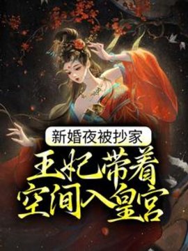新婚夜被抄家，王妃带着空间入皇宫小说阅读