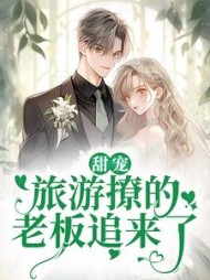 甜宠旅游撩的老板追来了小说阅读