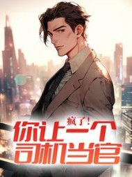 疯了你让一个司机当官唐林小说阅读