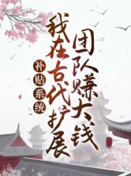 补贴系统:我在古代扩展团队赚大钱阅读小说阅读