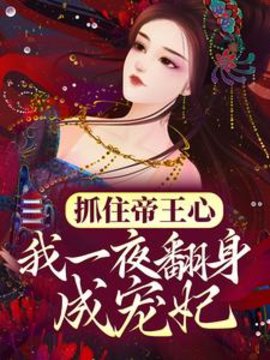抓住帝王心，我一夜翻身成宠妃小说阅读