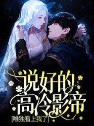 说好的高冷影帝，唯独看上我了？后续+番外小说阅读