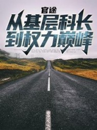 官途：从基层科长到权力巅峰阅读小说阅读