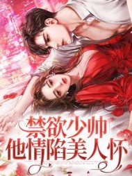 禁欲少帅，他情陷美人怀阅读小说阅读
