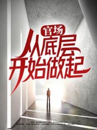 官场：从底层开始做起小说阅读