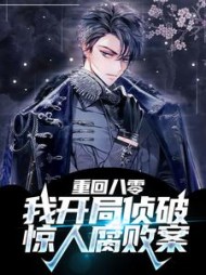 重回八零：我开局侦破惊人腐败案小说阅读