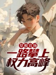 草根官场：一路攀上权力高峰周翊小说阅读