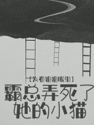 为看姐姐眼泪，霸总弄死了她的小猫后续+番外小说阅读