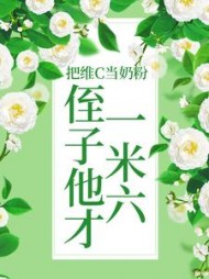 把维C当奶粉，侄子他才一米六后续+番外小说阅读