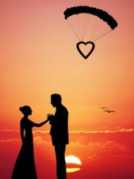 何不随风去后续+番外小说阅读