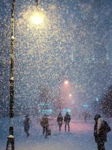 风起云涌雪纷飞后续+番外小说阅读