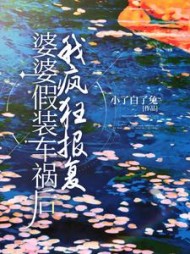 婆婆假装车祸后，我疯狂报复后续+番外小说阅读