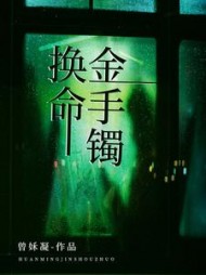 换命金手镯+后续小说阅读