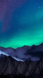 天裂之他们震惊我是上古女帝！(好奇猫耳语)阅读小说阅读