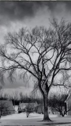 5421的秘密小说阅读