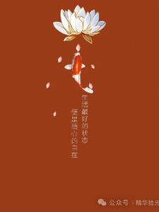 没有什么放不下的(与兰相随)阅读小说阅读