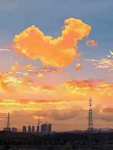 重生复仇(夜月五十弦)阅读小说阅读