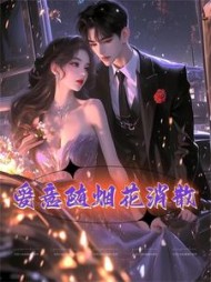 爱意随烟花消散+后续小说阅读