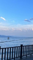 我怀孕了，我老公却设计将我害死+后续小说阅读